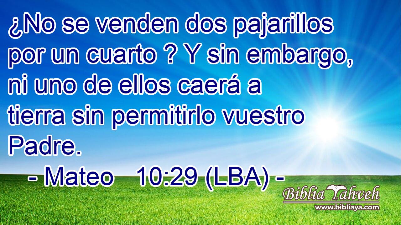 ¿No se venden dos pajarillos por un cuarto ? Y sin embargo, ni uno de ellos caerá a tierra sin permitirlo vuestro Padre.