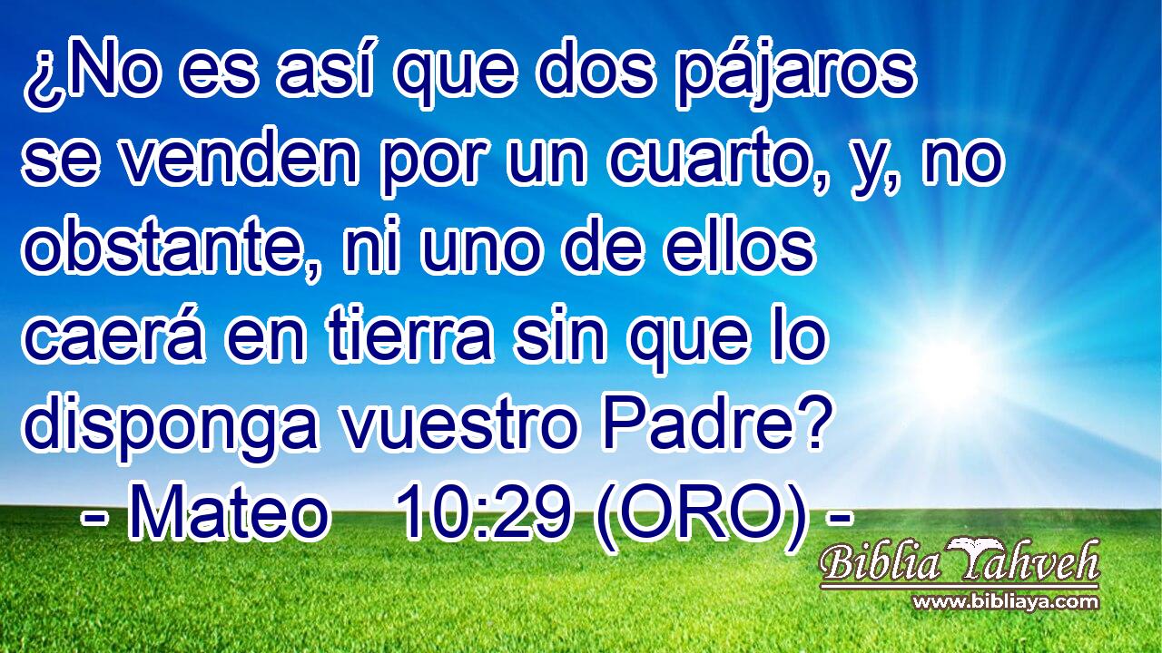  ¿No es así que dos pájaros se venden por un cuarto, y, no obstante, ni uno de ellos caerá en tierra sin que lo disponga vuestro Padre? 