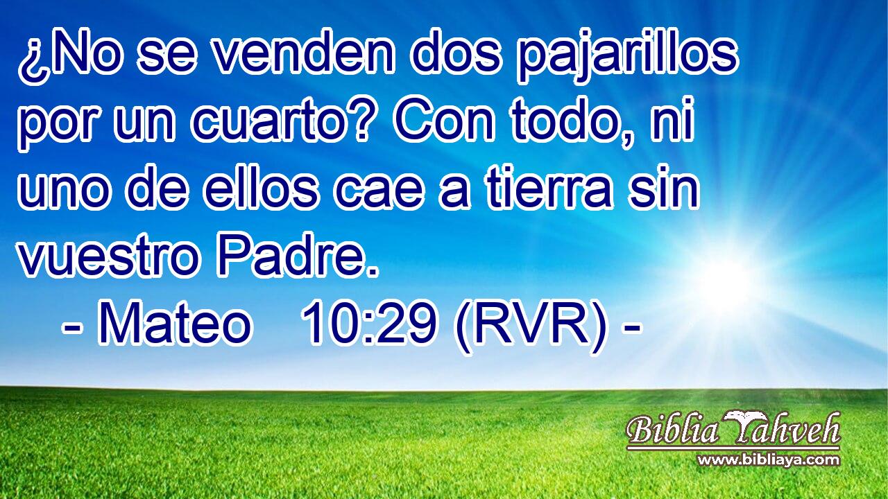 ¿No se venden dos pajarillos por un cuarto? Con todo, ni uno de ellos cae a tierra sin vuestro Padre.