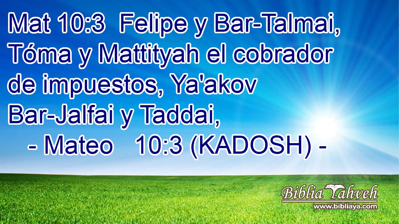  Felipe y Bar-Talmai, Tóma y Mattityah el cobrador de impuestos, Ya'akov Bar-Jalfai y Taddai, 