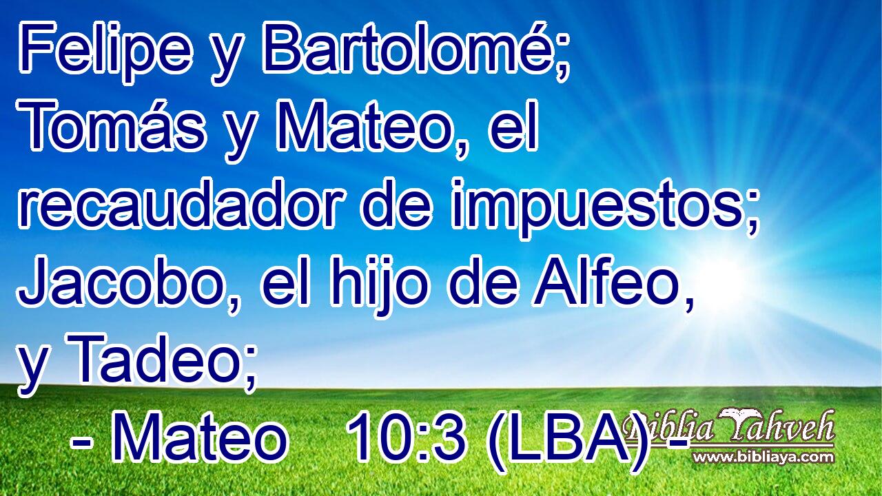 Felipe y Bartolomé; Tomás y Mateo, el recaudador de impuestos; Jacobo, el hijo de Alfeo, y Tadeo;