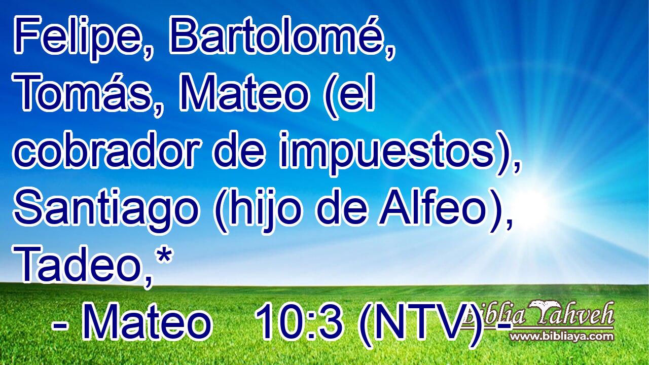 Felipe, Bartolomé, Tomás, Mateo (el cobrador de impuestos), Santiago (hijo de Alfeo), Tadeo,*