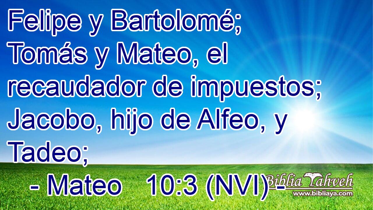  Felipe y Bartolomé; Tomás y Mateo, el recaudador de impuestos; Jacobo, hijo de Alfeo, y Tadeo; 