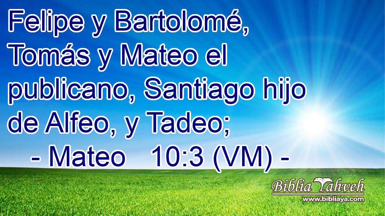  Felipe y Bartolomé, Tomás y Mateo el publicano, Santiago hijo de Alfeo, y Tadeo; 