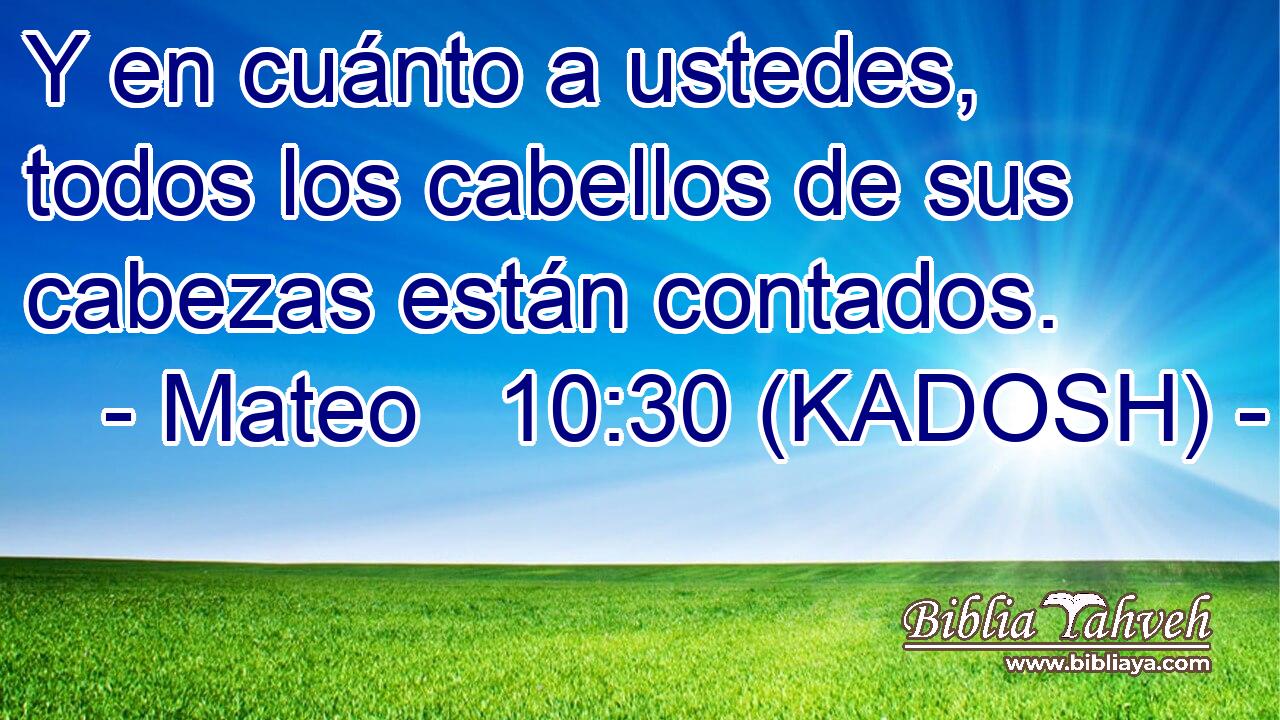  Y en cuánto a ustedes, todos los cabellos de sus cabezas están contados. 