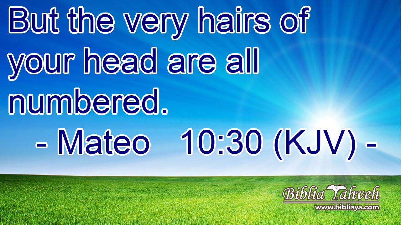 But the very hairs of your head are all numbered.