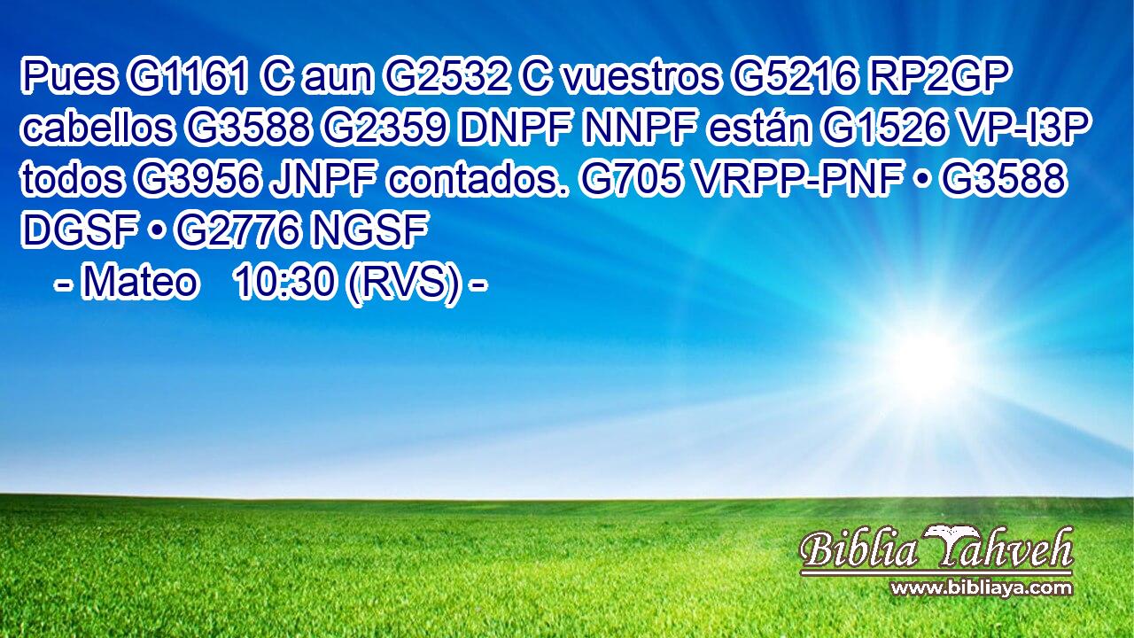 Pues G1161 C aun G2532 C vuestros G5216 RP2GP cabellos G3588 G2359 DNPF NNPF están G1526 VP-I3P todos G3956 JNPF contados. G705 VRPP-PNF • G3588 DGSF • G2776 NGSF 