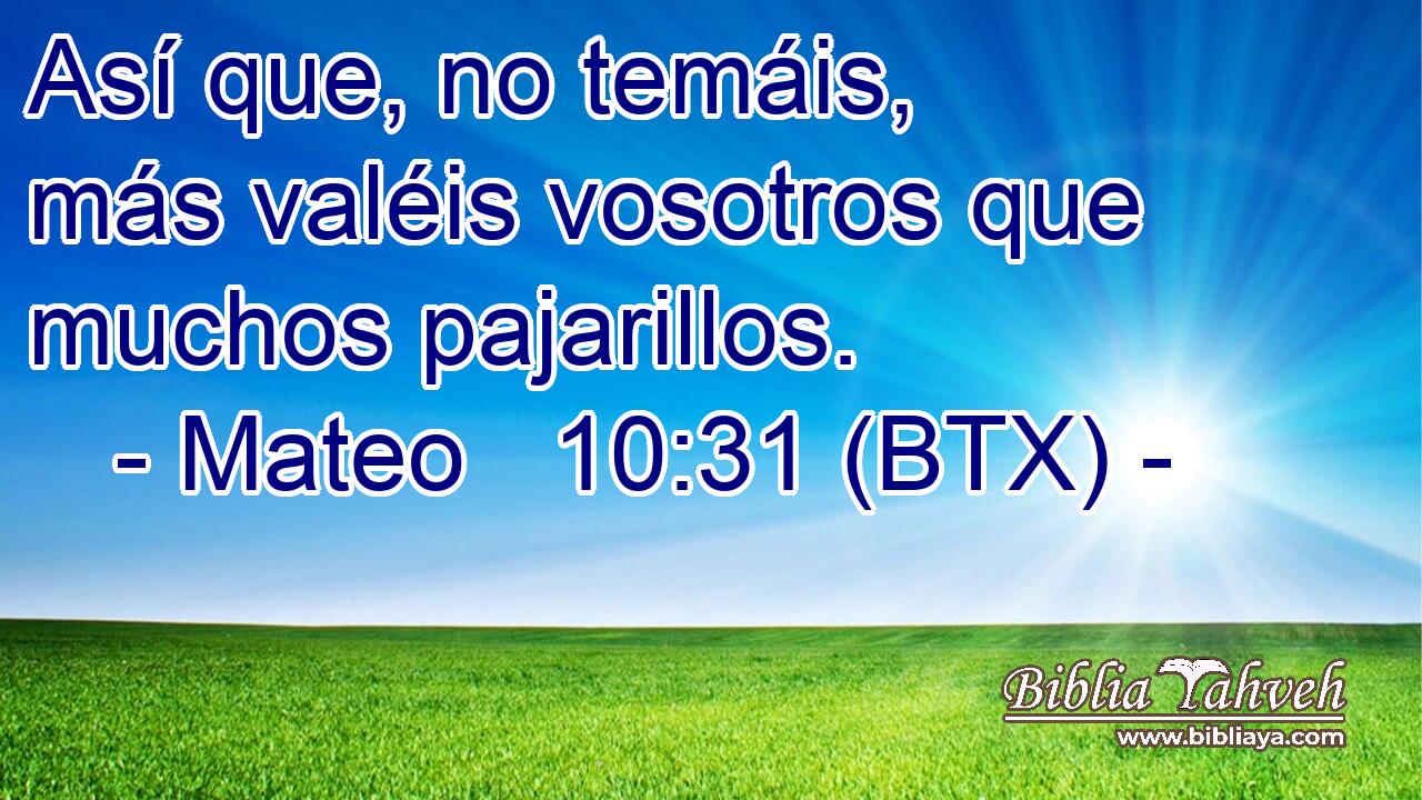 Así que, no temáis, más valéis vosotros que muchos pajarillos.