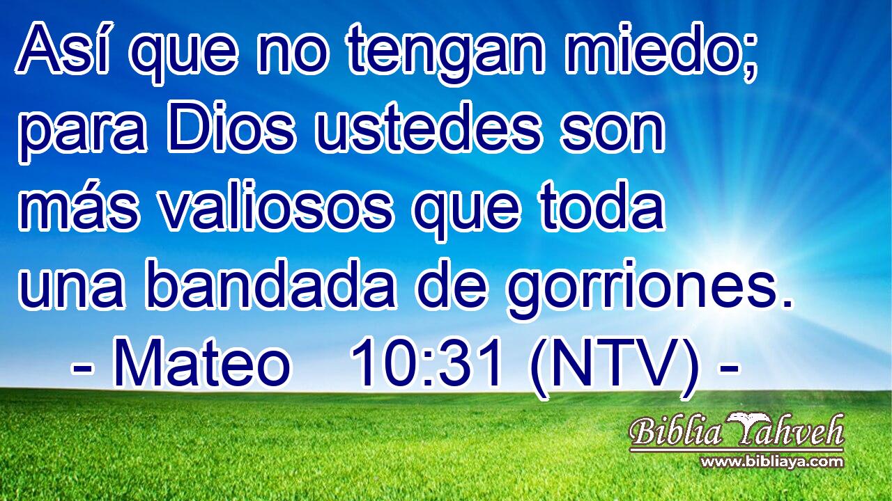Así que no tengan miedo; para Dios ustedes son más valiosos que toda una bandada de gorriones.