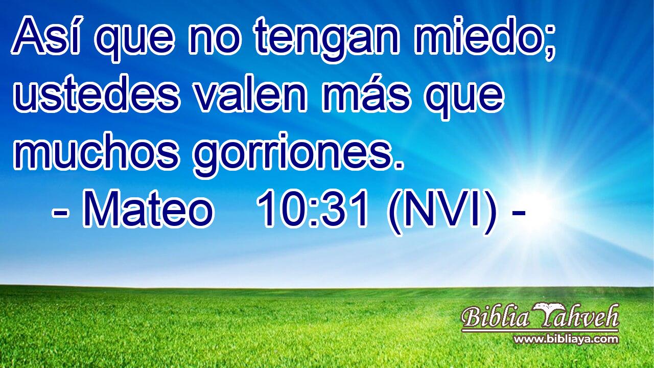  Así que no tengan miedo; ustedes valen más que muchos gorriones. 