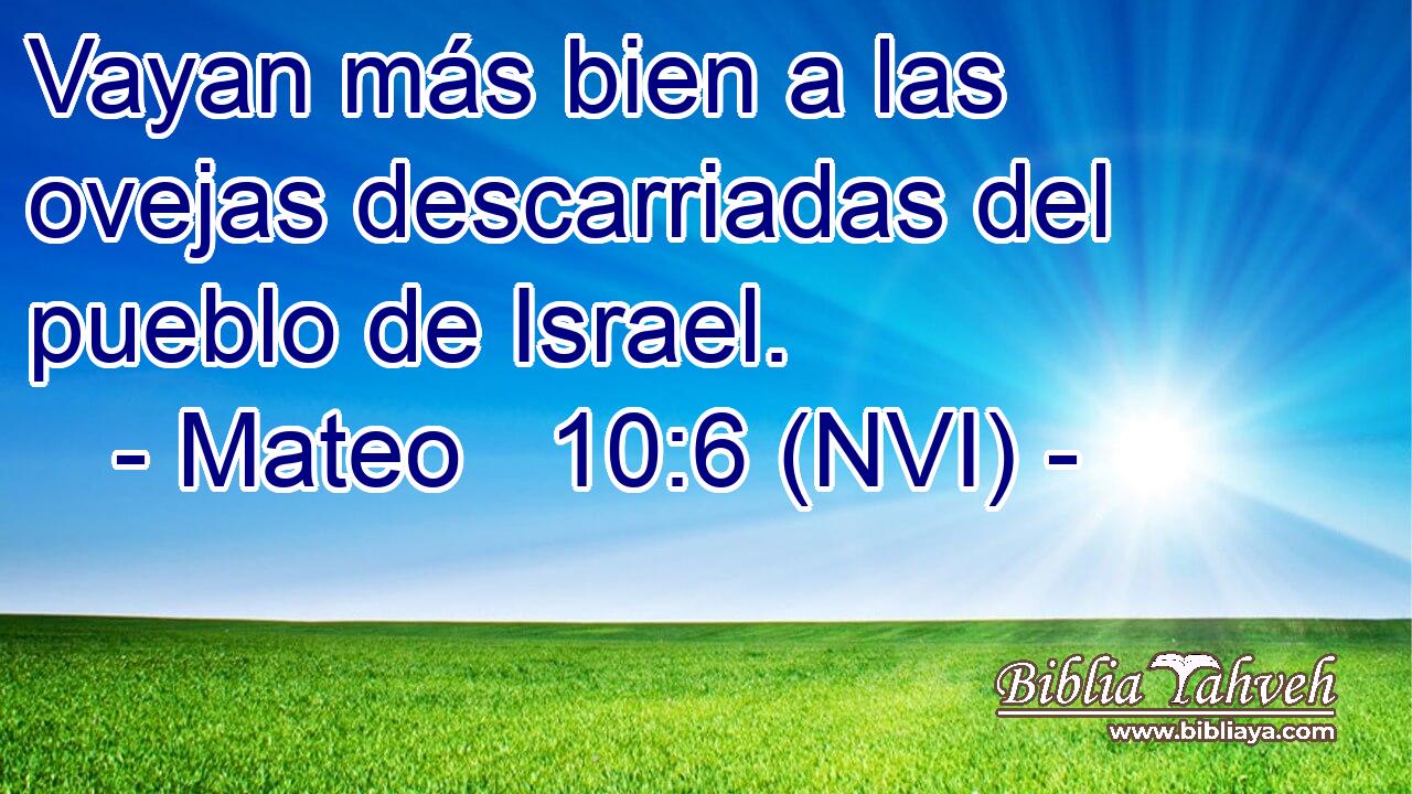  Vayan más bien a las ovejas descarriadas del pueblo de Israel. 