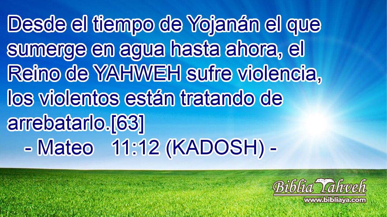  Desde el tiempo de Yojanán el que sumerge en agua hasta ahora, el Reino de YAHWEH sufre violencia, los violentos están tratando de arrebatarlo.[63] 
