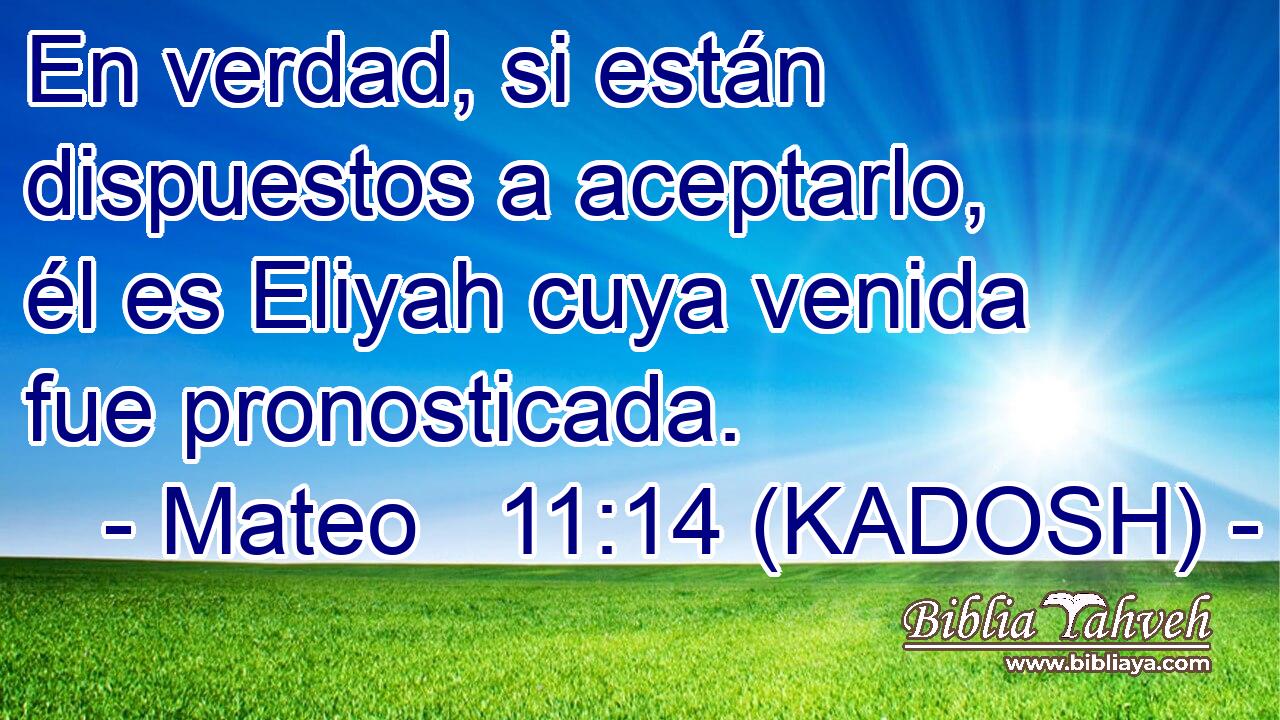  En verdad, si están dispuestos a aceptarlo, él es Eliyah cuya venida fue pronosticada. 