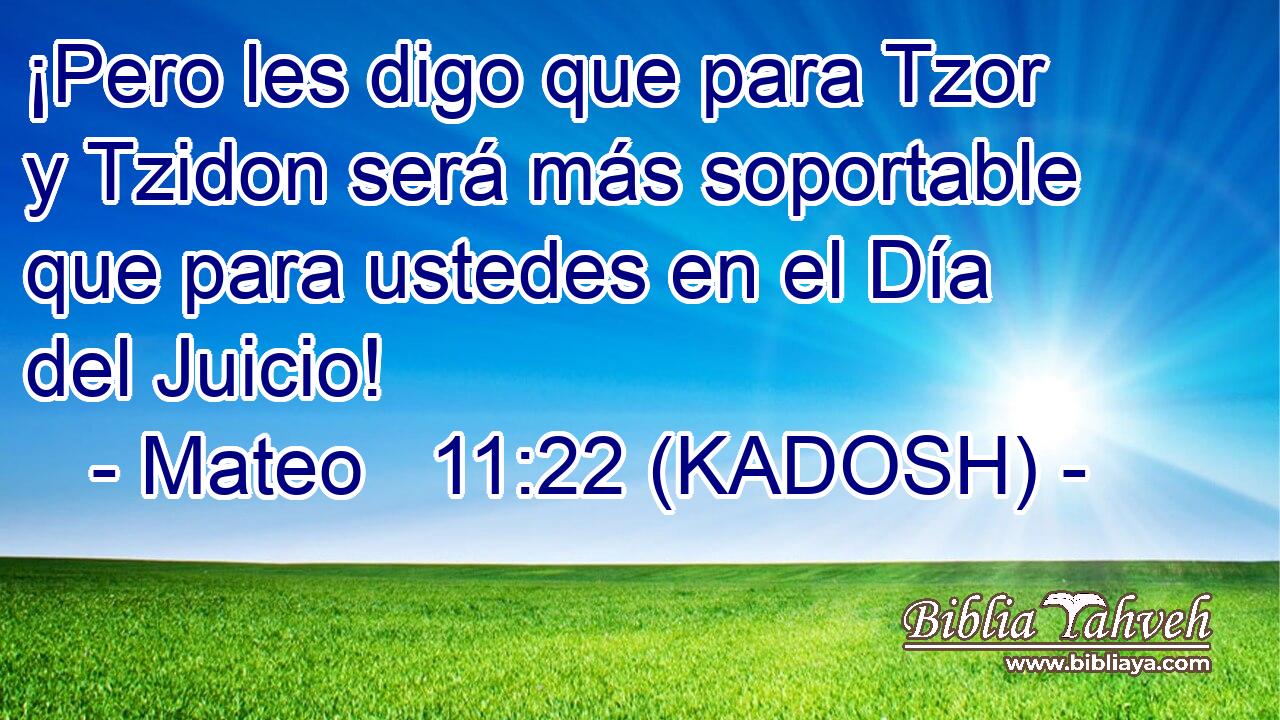  ¡Pero les digo que para Tzor y Tzidon será más soportable que para ustedes en el Día del Juicio! 