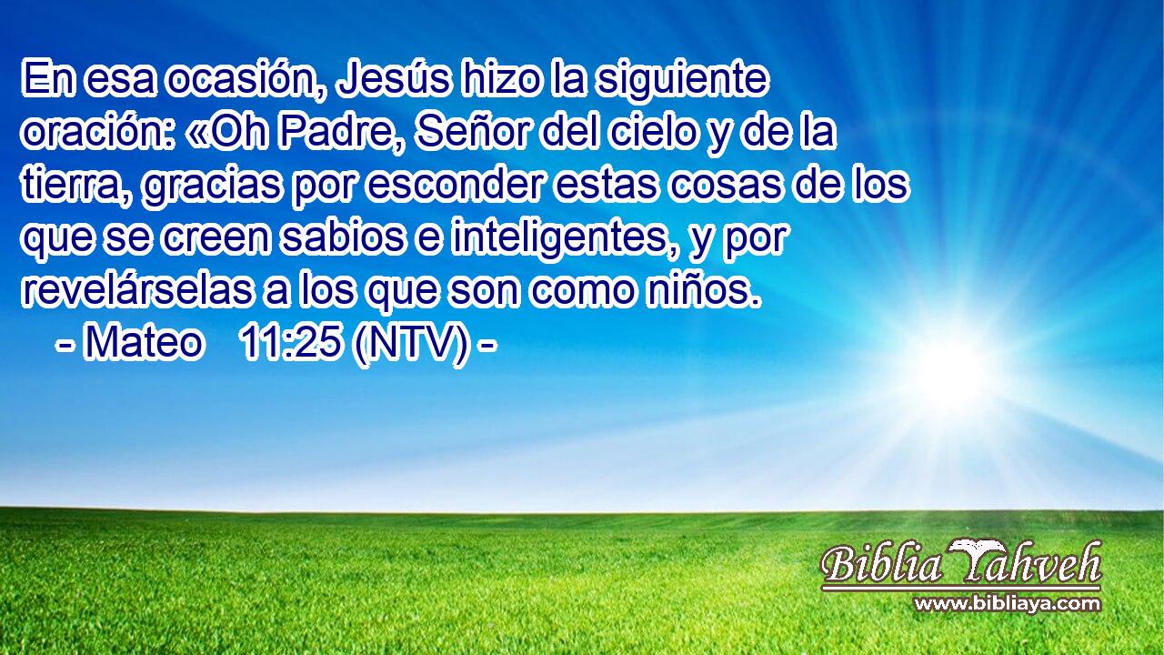 En esa ocasión, Jesús hizo la siguiente oración: «Oh Padre, Señor del cielo y de la tierra, gracias por esconder estas cosas de los que se creen sabios e inteligentes, y por revelárselas a los que son como niños.