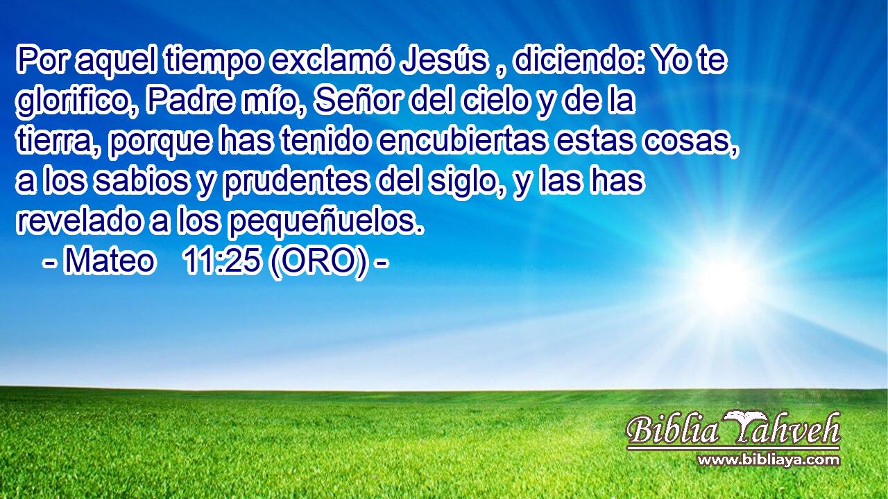  Por aquel tiempo exclamó Jesús , diciendo: Yo te glorifico, Padre mío, Señor del cielo y de la tierra, porque has tenido encubiertas estas cosas, a los sabios y prudentes del siglo, y las has revelado a los pequeñuelos. 