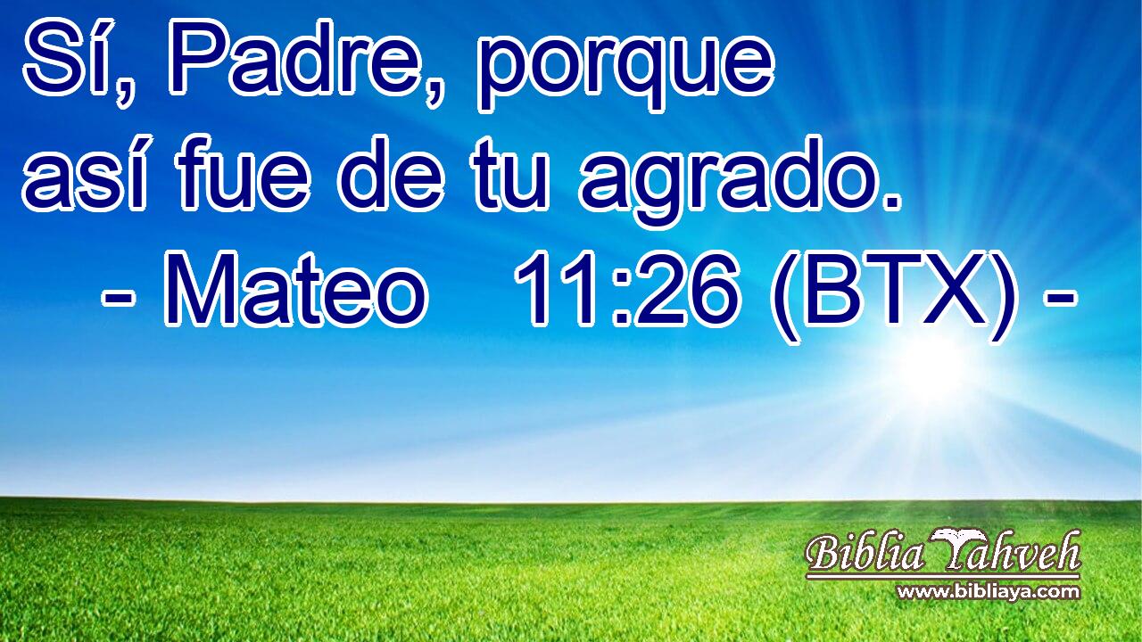 Sí, Padre, porque así fue de tu agrado.