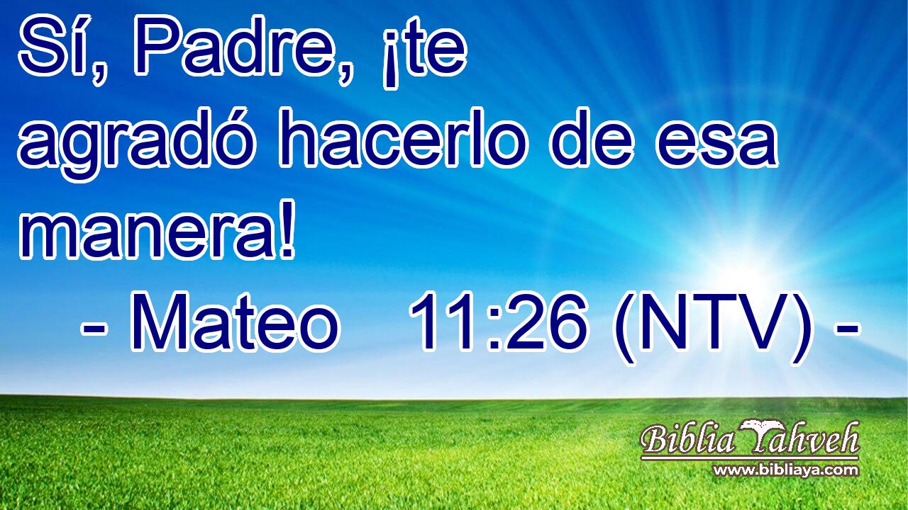 Sí, Padre, ¡te agradó hacerlo de esa manera!