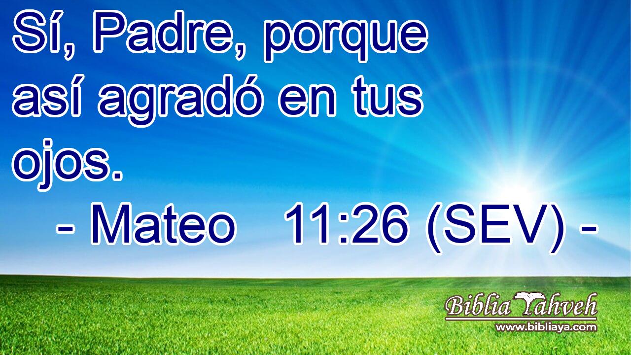 Sí, Padre, porque así agradó en tus ojos.