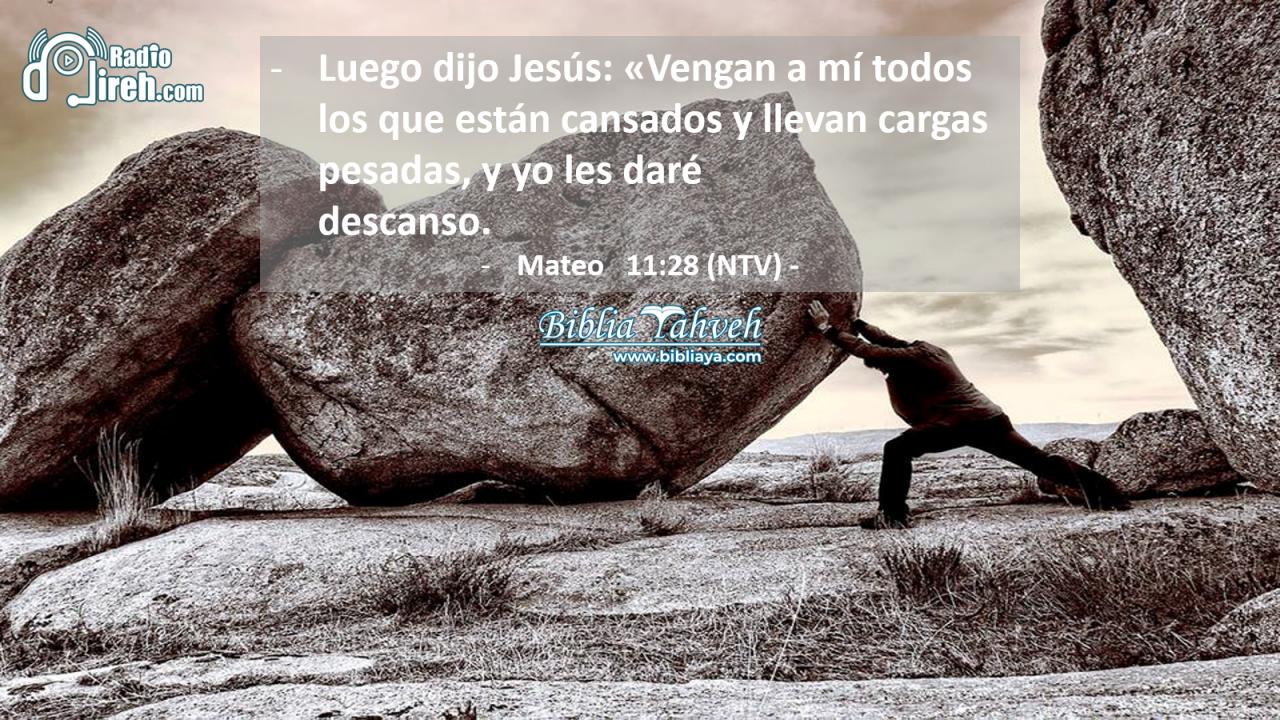 Luego dijo Jesús: «Vengan a mí todos los que están cansados y llevan cargas pesadas, y yo les daré descanso.
