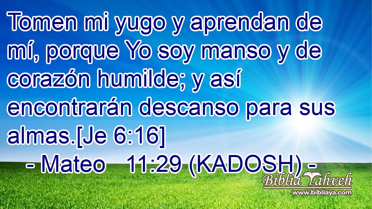 Tomen mi yugo y aprendan de mí, porque Yo soy manso y de corazón humilde; y así encontrarán descanso para sus almas.[Je 6:16] 