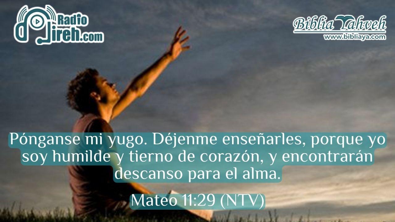 Pónganse mi yugo. Déjenme enseñarles, porque yo soy humilde y tierno de corazón, y encontrarán descanso para el alma.