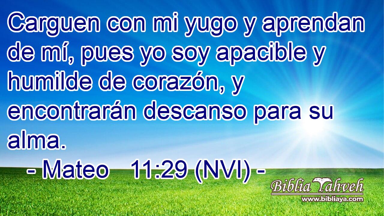  Carguen con mi yugo y aprendan de mí, pues yo soy apacible y humilde de corazón, y encontrarán descanso para su alma. 