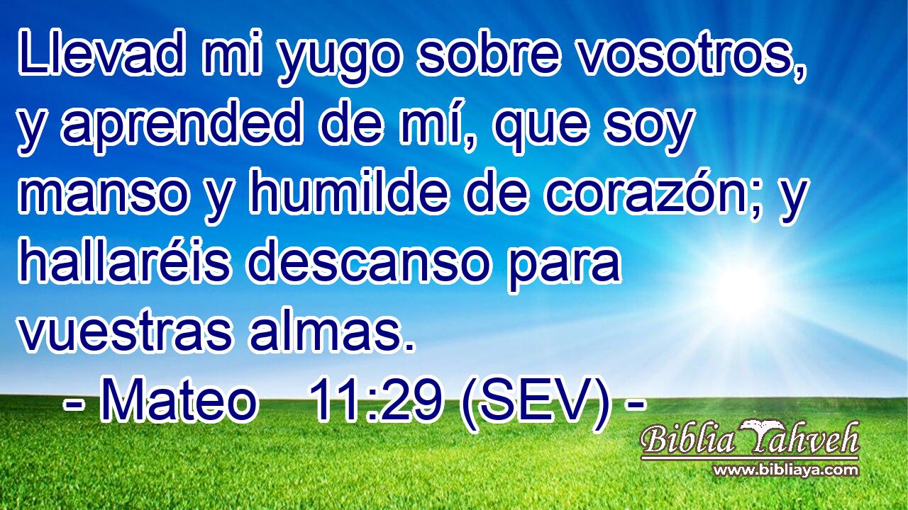 Llevad mi yugo sobre vosotros, y aprended de mí, que soy manso y humilde de corazón; y hallaréis descanso para vuestras almas.