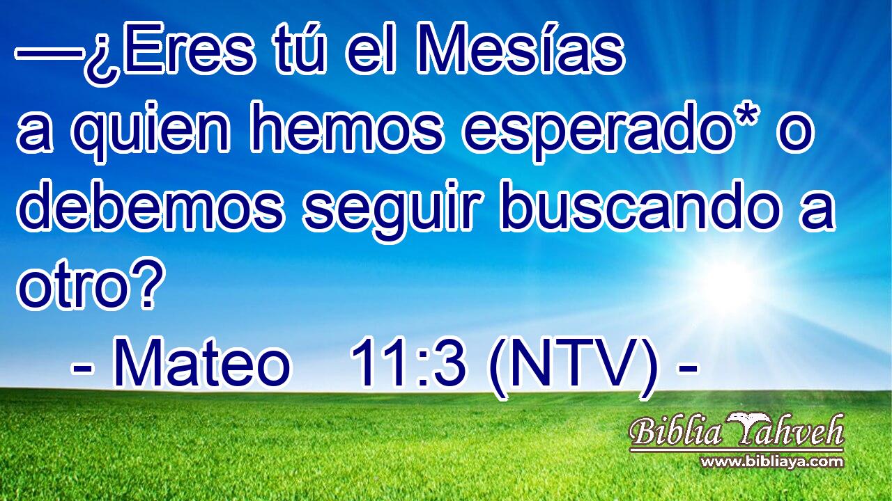 —¿Eres tú el Mesías a quien hemos esperado* o debemos seguir buscando a otro?
