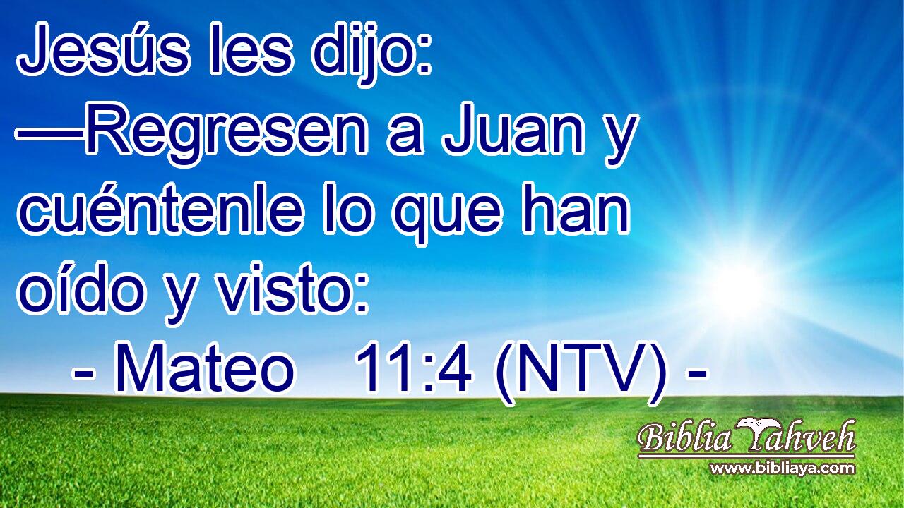 Jesús les dijo: —Regresen a Juan y cuéntenle lo que han oído y visto: