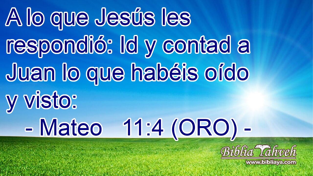  A lo que Jesús les respondió: Id y contad a Juan lo que habéis oído y visto: 