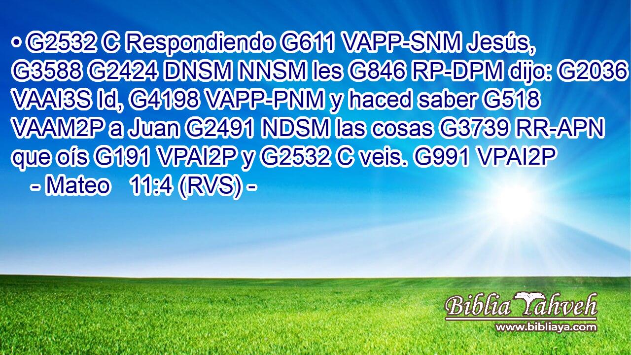 • G2532 C Respondiendo G611 VAPP-SNM Jesús, G3588 G2424 DNSM NNSM les G846 RP-DPM dijo: G2036 VAAI3S Id, G4198 VAPP-PNM y haced saber G518 VAAM2P a Juan G2491 NDSM las cosas G3739 RR-APN que oís G191 VPAI2P y G2532 C veis. G991 VPAI2P 