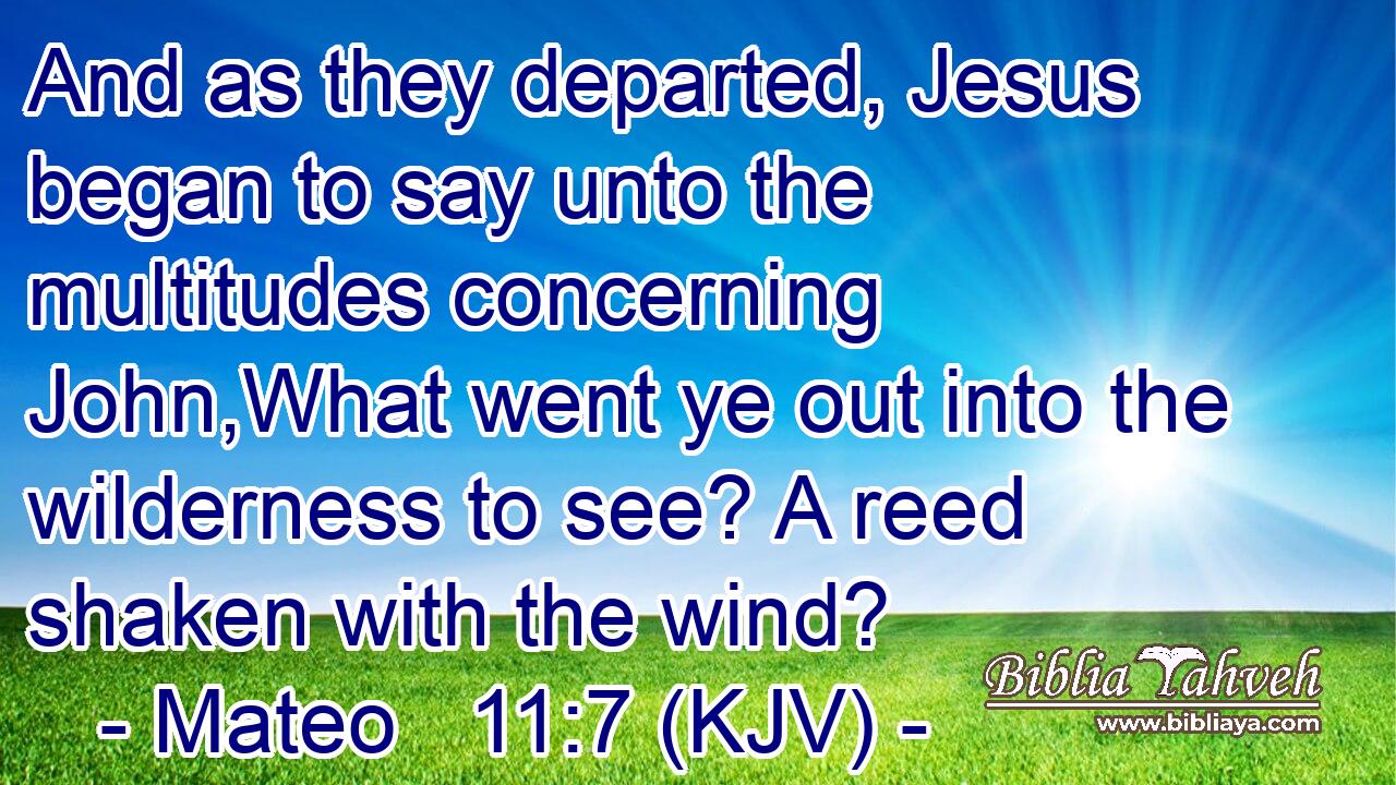 And as they departed, Jesus began to say unto the multitudes concerning John,What went ye out into the wilderness to see? A reed shaken with the wind?