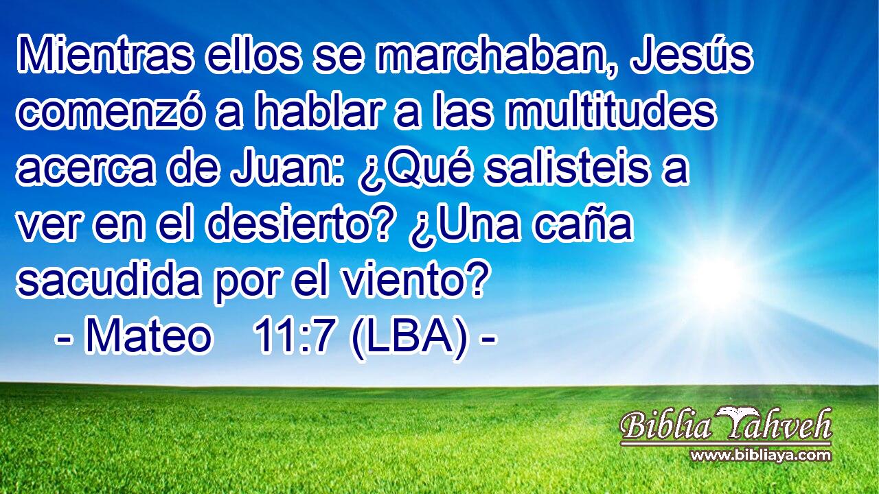 Mientras ellos se marchaban, Jesús comenzó a hablar a las multitudes acerca de Juan: ¿Qué salisteis a ver en el desierto? ¿Una caña sacudida por el viento?