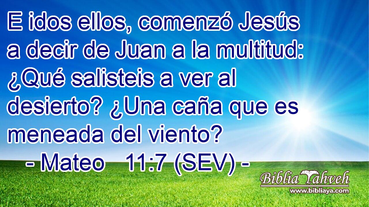 E idos ellos, comenzó Jesús a decir de Juan a la multitud: ¿Qué salisteis a ver al desierto? ¿Una caña que es meneada del viento?
