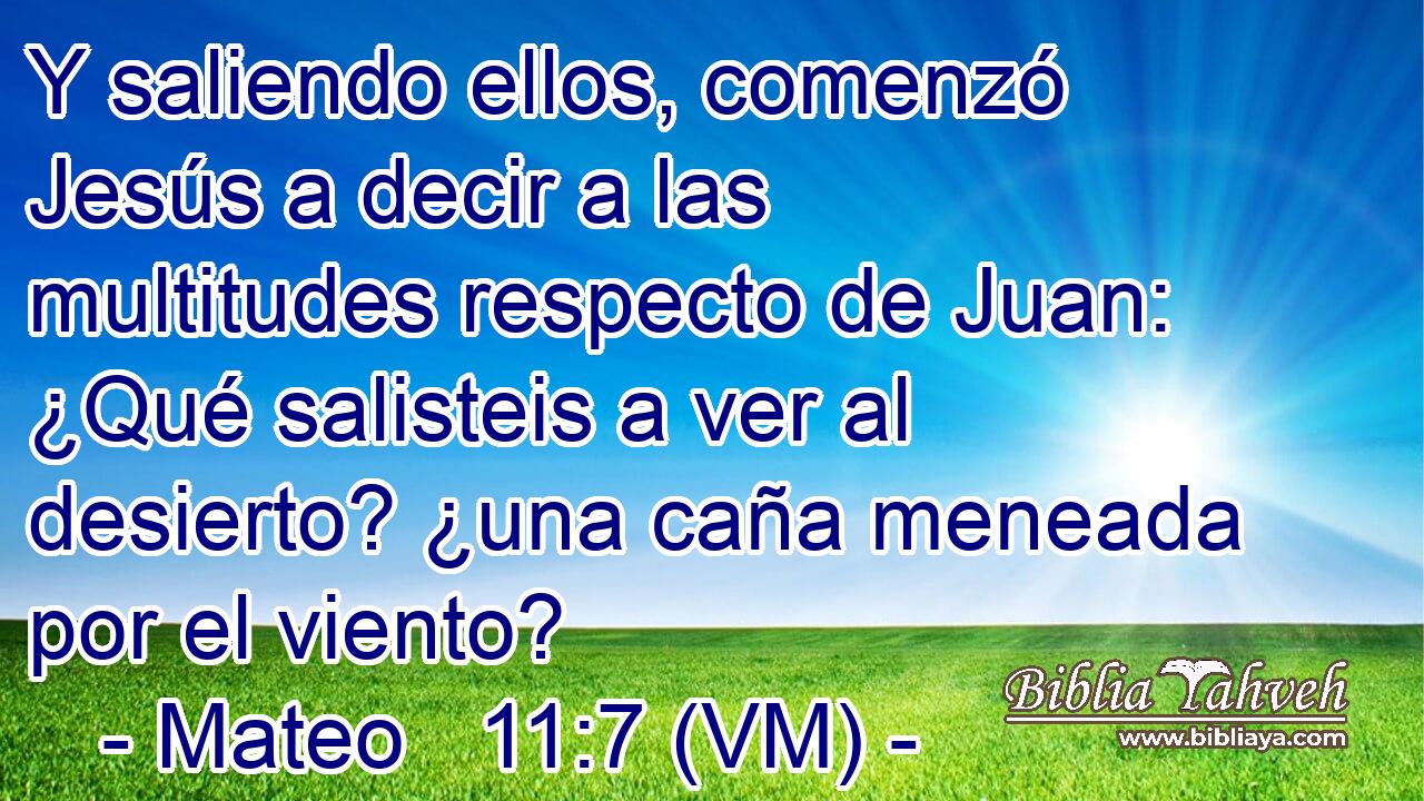  Y saliendo ellos, comenzó Jesús a decir a las multitudes respecto de Juan: ¿Qué salisteis a ver al desierto? ¿una caña meneada por el viento? 