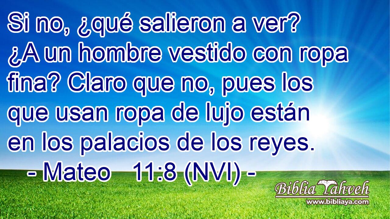  Si no, ¿qué salieron a ver? ¿A un hombre vestido con ropa fina? Claro que no, pues los que usan ropa de lujo están en los palacios de los reyes. 