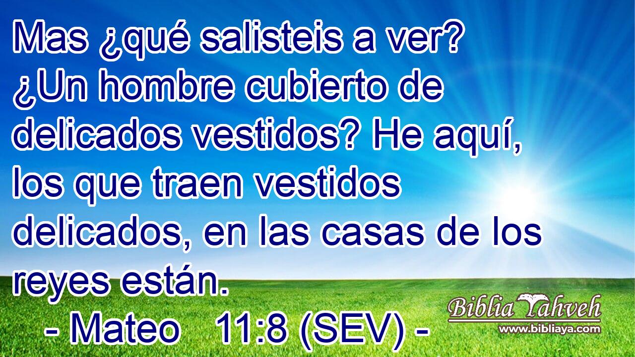 Mas ¿qué salisteis a ver? ¿Un hombre cubierto de delicados vestidos? He aquí, los que traen vestidos delicados, en las casas de los reyes están.