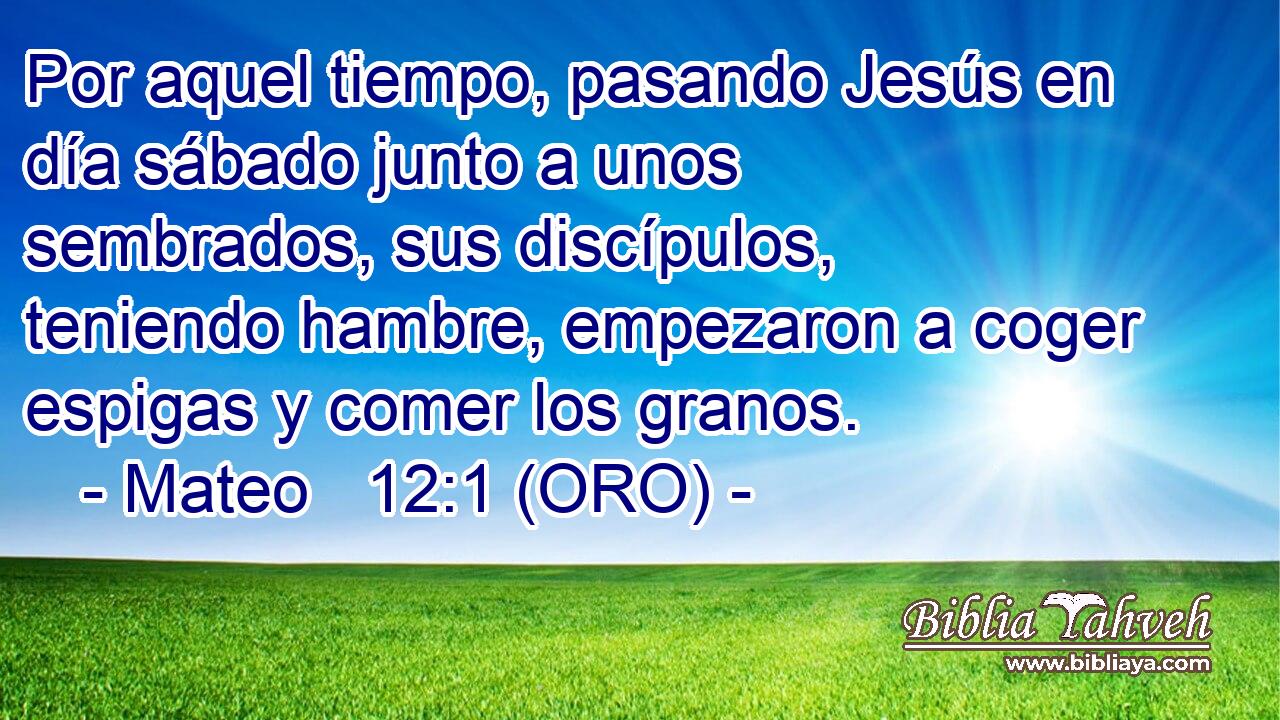  Por aquel tiempo, pasando Jesús en día sábado junto a unos sembrados, sus discípulos, teniendo hambre, empezaron a coger espigas y comer los granos. 