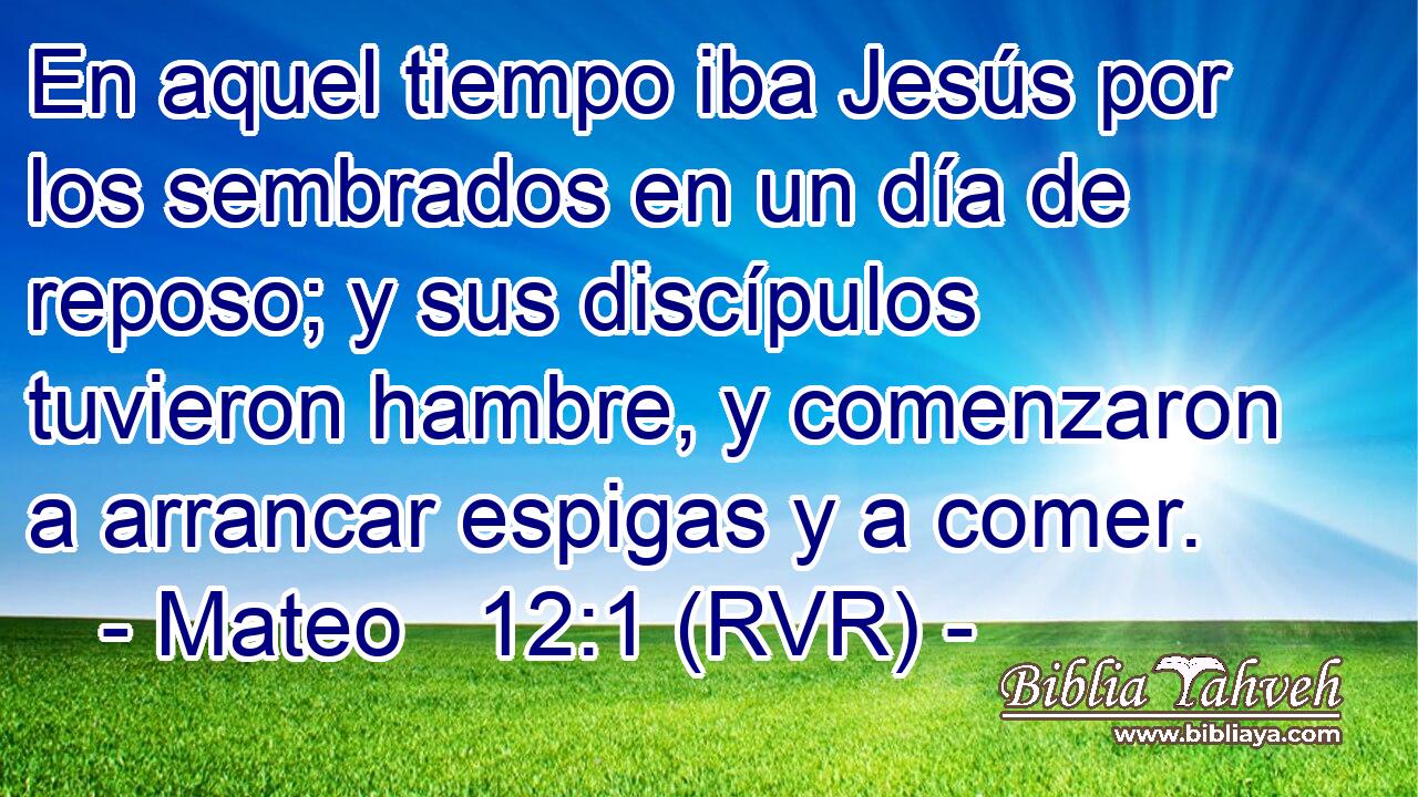 En aquel tiempo iba Jesús por los sembrados en un día de reposo; y sus discípulos tuvieron hambre, y comenzaron a arrancar espigas y a comer.