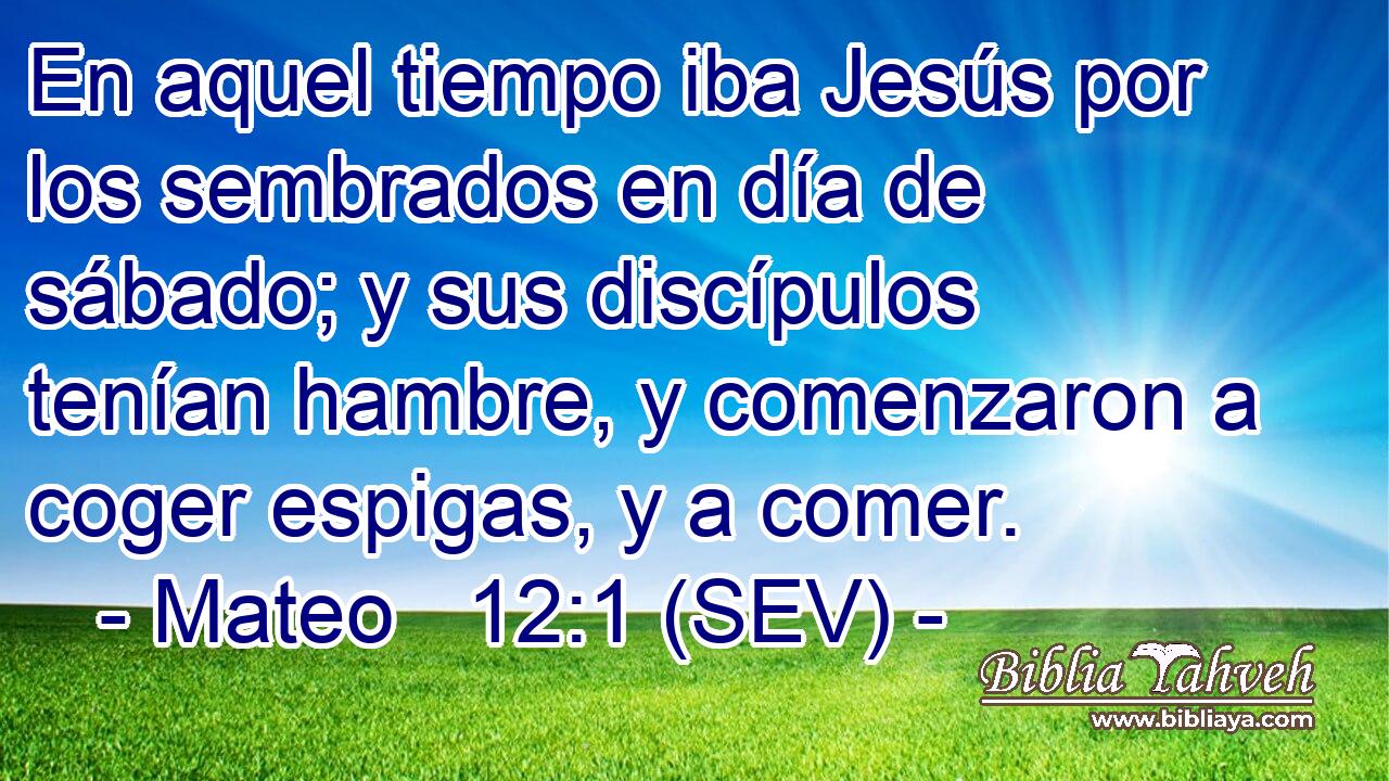 En aquel tiempo iba Jesús por los sembrados en día de sábado; y sus discípulos tenían hambre, y comenzaron a coger espigas, y a comer.
