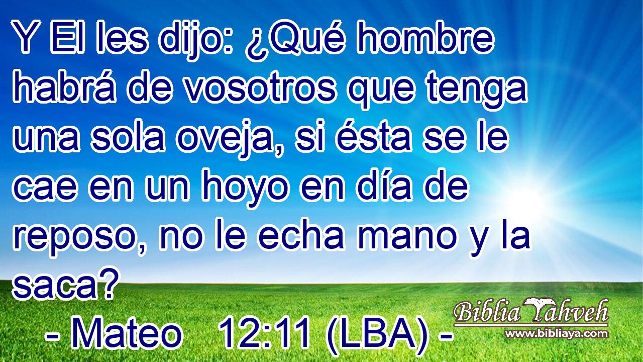 Y El les dijo: ¿Qué hombre habrá de vosotros que tenga una sola oveja, si ésta se le cae en un hoyo en día de reposo, no le echa mano y la saca?