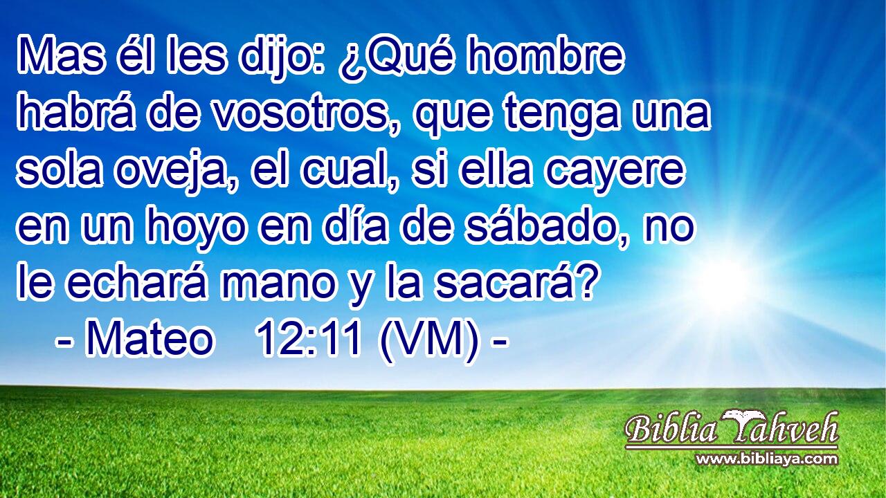  Mas él les dijo: ¿Qué hombre habrá de vosotros, que tenga una sola oveja, el cual, si ella cayere en un hoyo en día de sábado, no le echará mano y la sacará? 