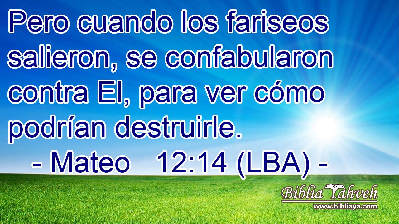 Pero cuando los fariseos salieron, se confabularon contra El, para ver cómo podrían destruirle.