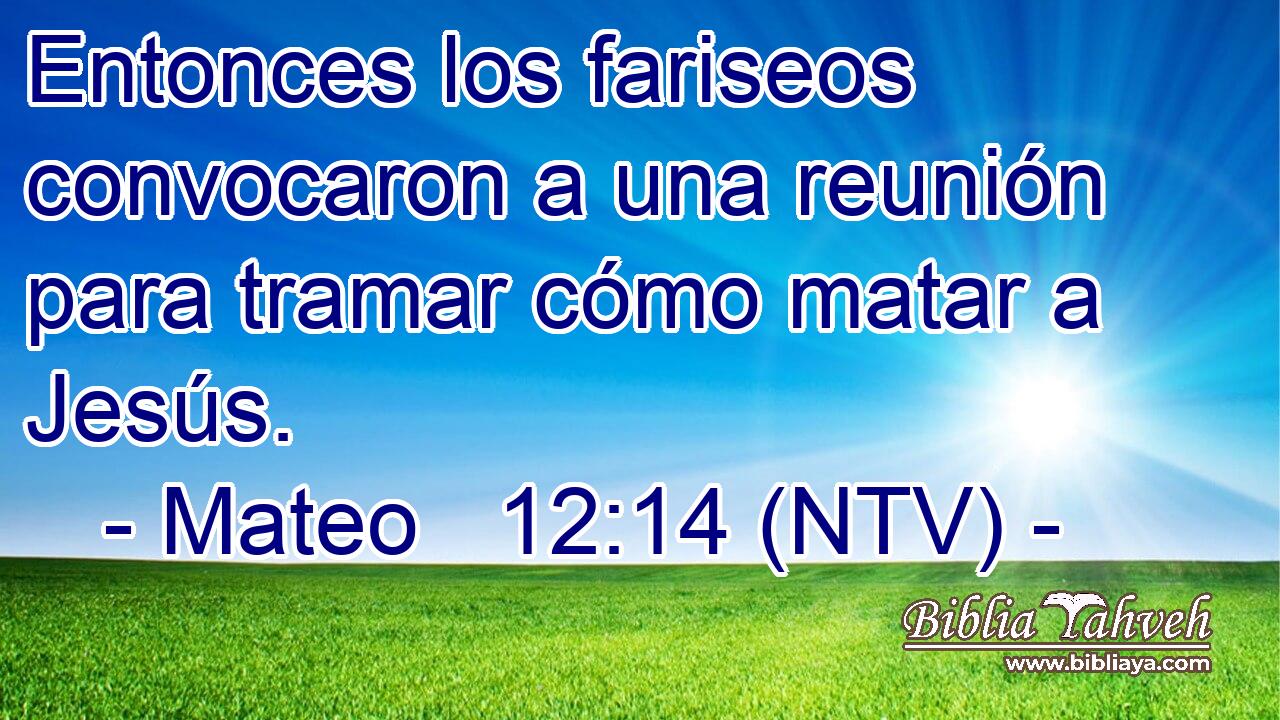 Entonces los fariseos convocaron a una reunión para tramar cómo matar a Jesús.