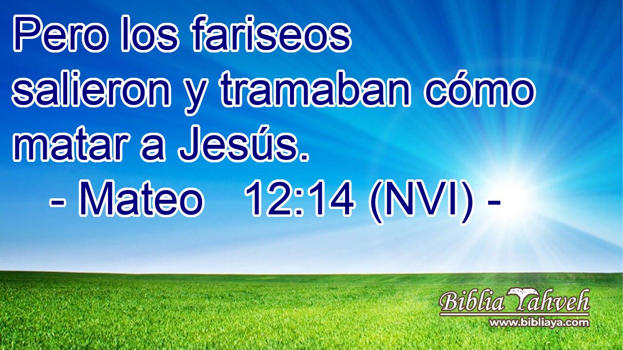  Pero los fariseos salieron y tramaban cómo matar a Jesús. 