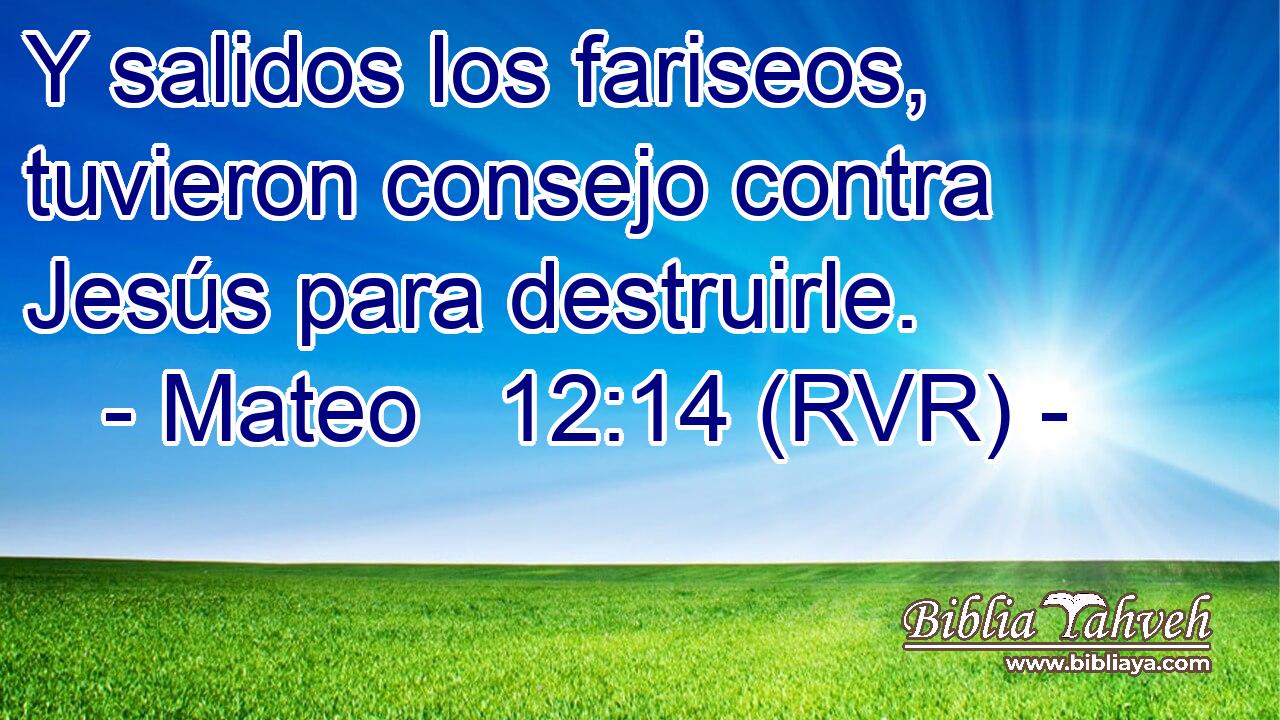 Y salidos los fariseos, tuvieron consejo contra Jesús para destruirle.