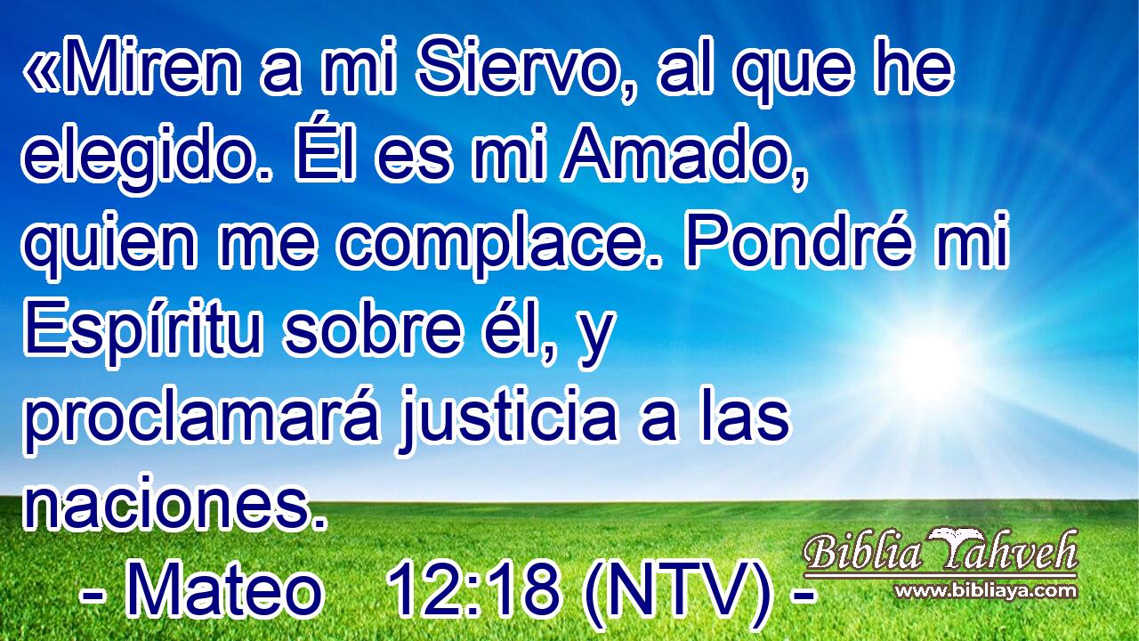 «Miren a mi Siervo, al que he elegido. Él es mi Amado, quien me complace. Pondré mi Espíritu sobre él, y proclamará justicia a las naciones.