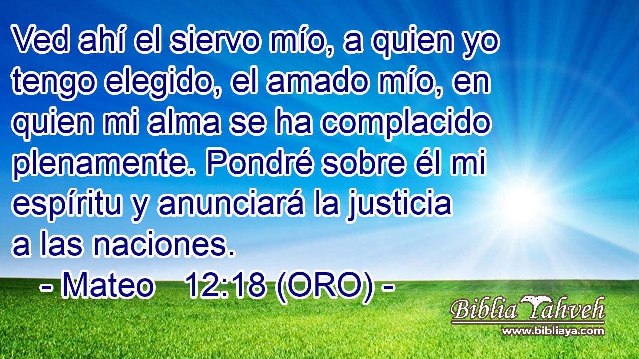  Ved ahí el siervo mío, a quien yo tengo elegido, el amado mío, en quien mi alma se ha complacido plenamente. Pondré sobre él mi espíritu y anunciará la justicia a las naciones. 