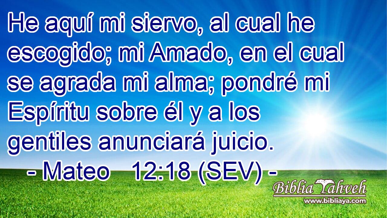 He aquí mi siervo, al cual he escogido; mi Amado, en el cual se agrada mi alma; pondré mi Espíritu sobre él y a los gentiles anunciará juicio.